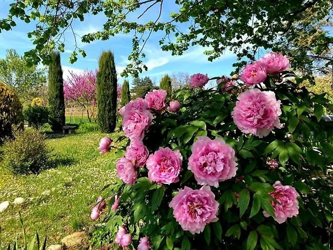 Casa Stella Country House Savigno
