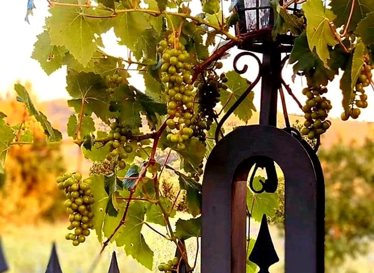 Casa Stella Country House Savigno Bed & Breakfast