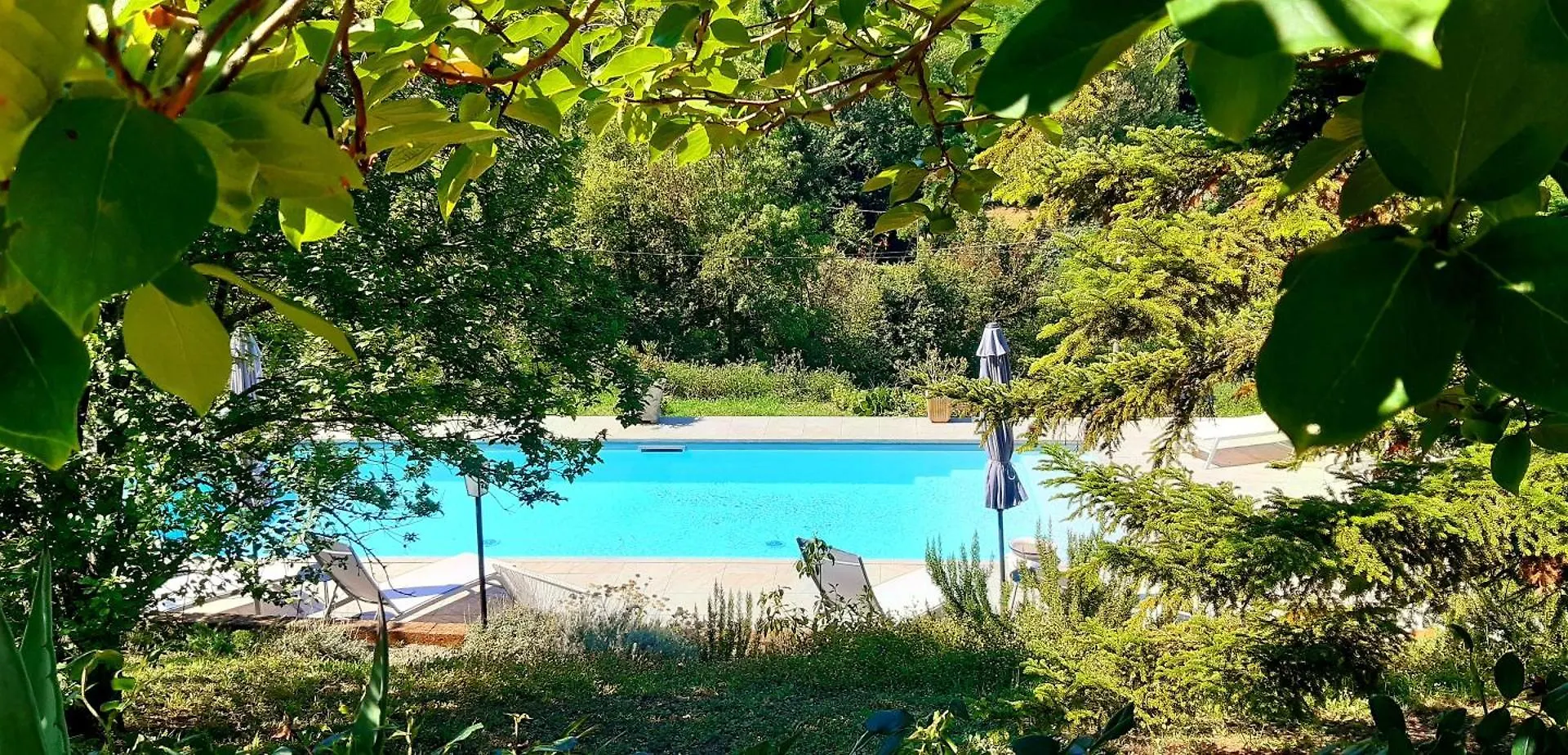Bed & Breakfast Casa Stella Country House Savigno Italy