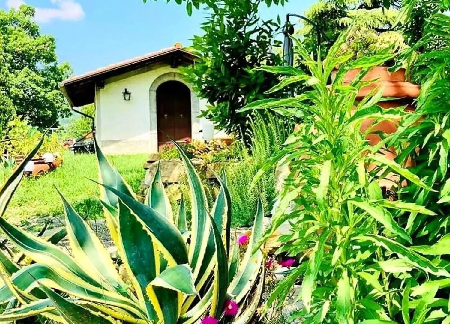 Casa Stella Country House Savigno Italy