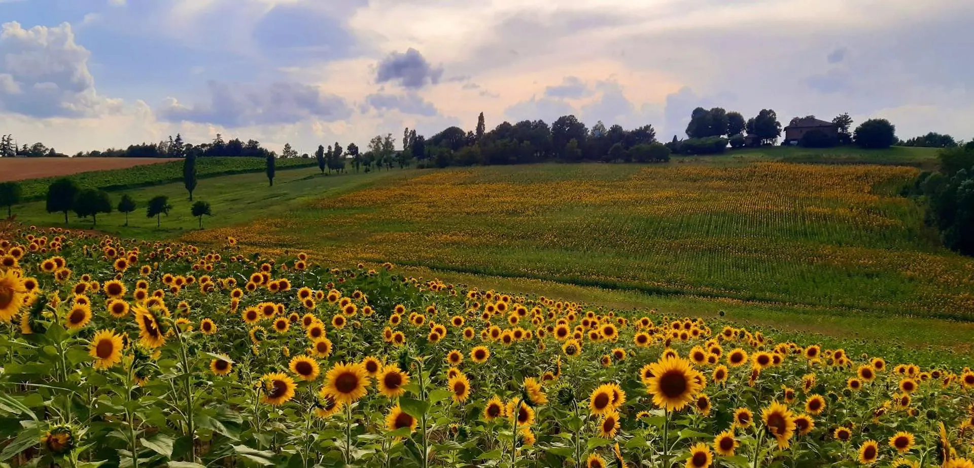 Bed & Breakfast Casa Stella Country House Savigno