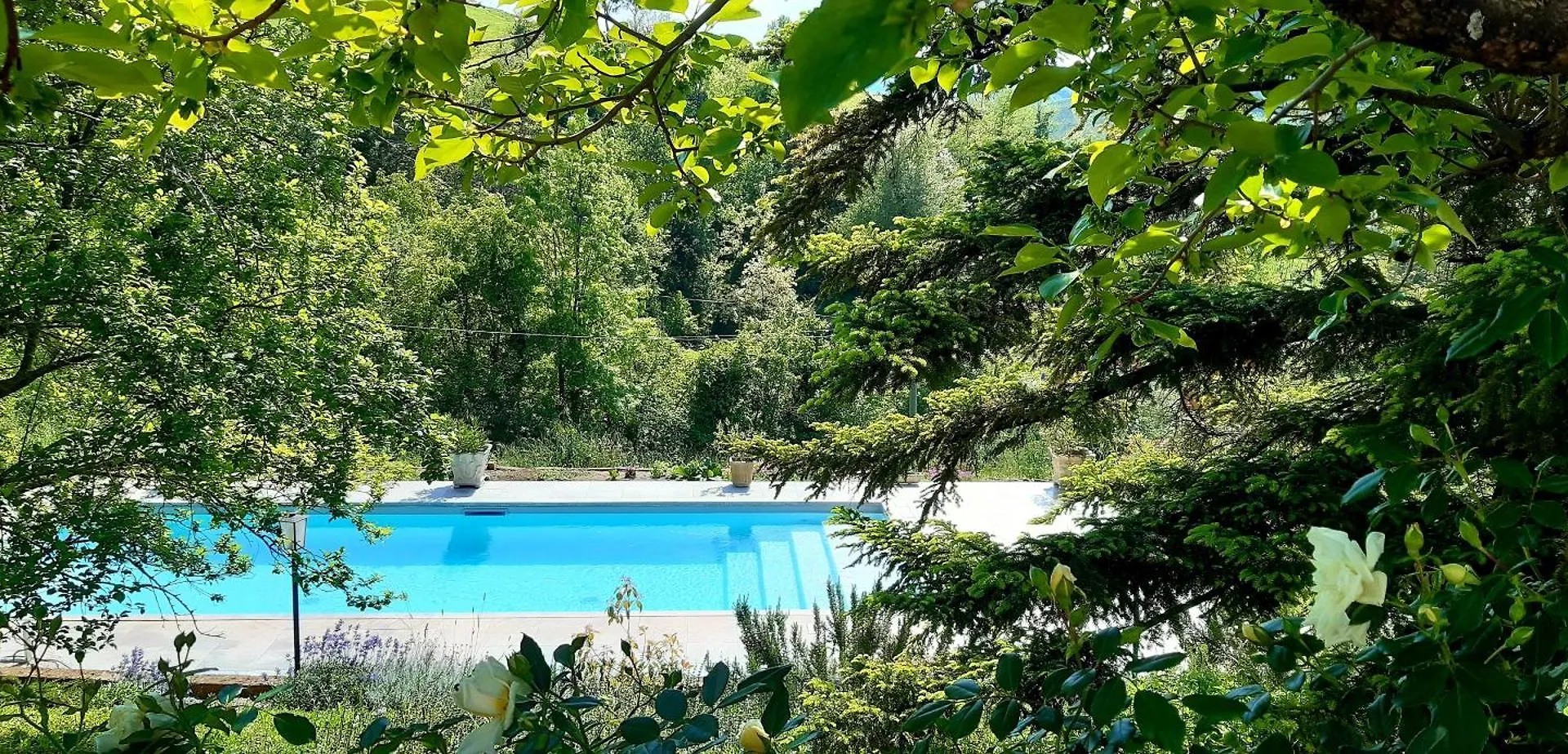 Casa Stella Country House Savigno Bed & Breakfast