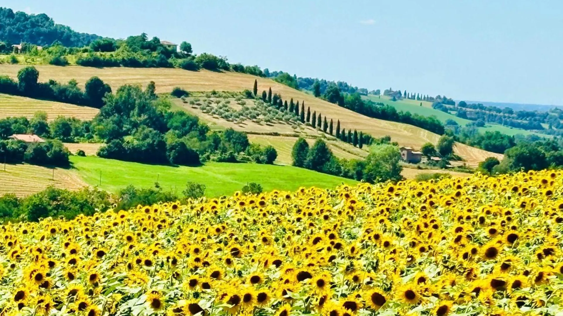 Casa Stella Country House Savigno Italië