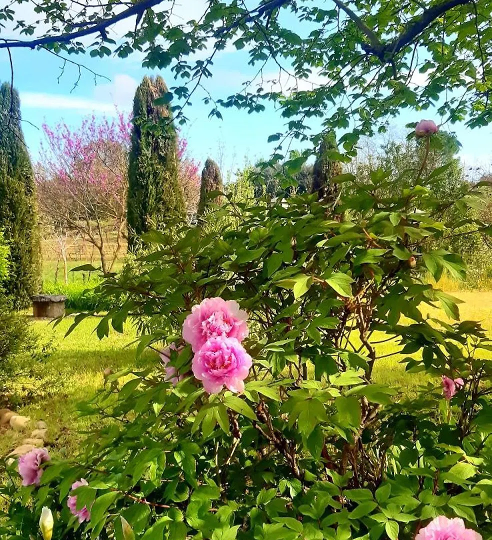 Bed & Breakfast Casa Stella Country House Savigno Italië